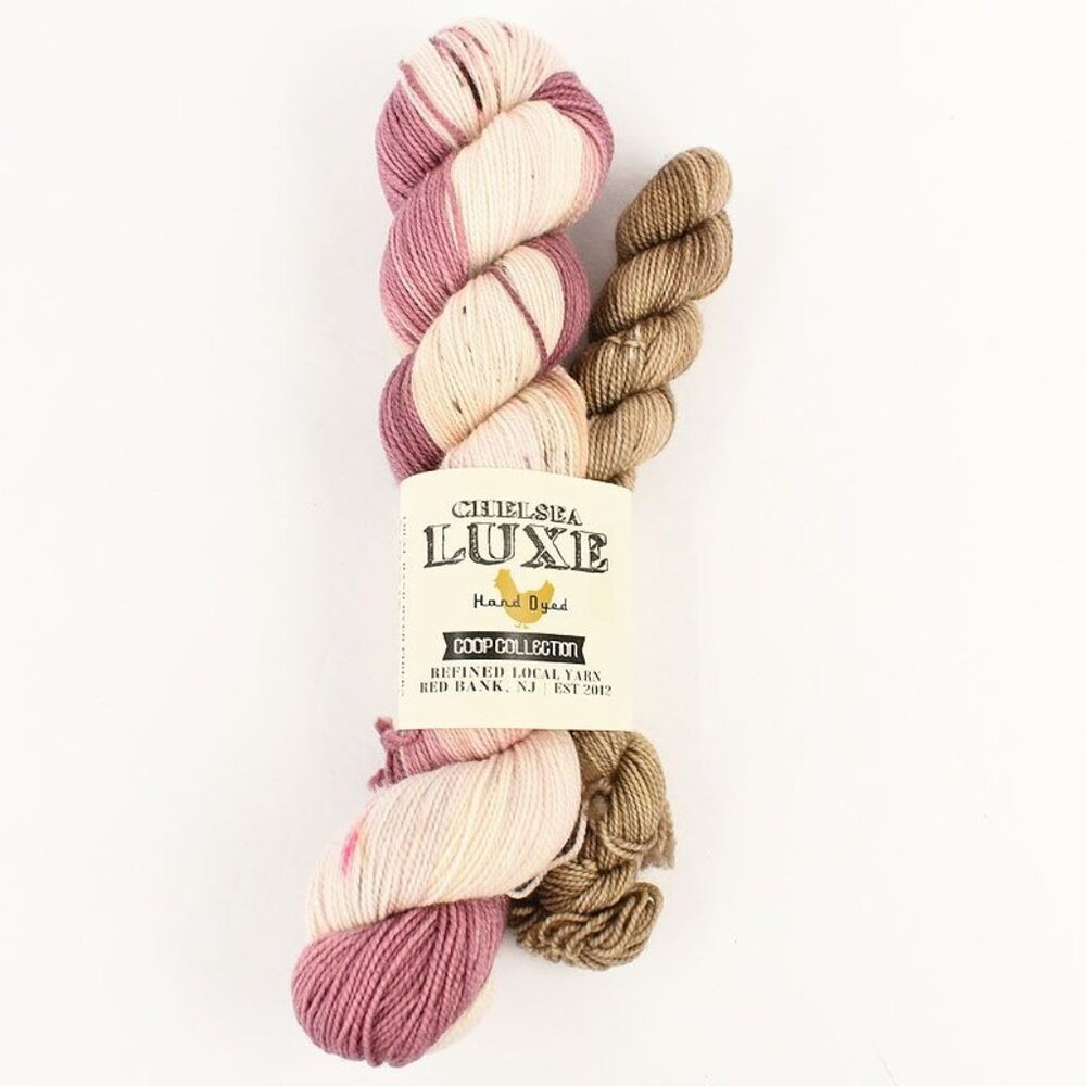 Chelsea Luxe Yarn Coop Collection Sock Set SW Merino Nylon Princess Laya